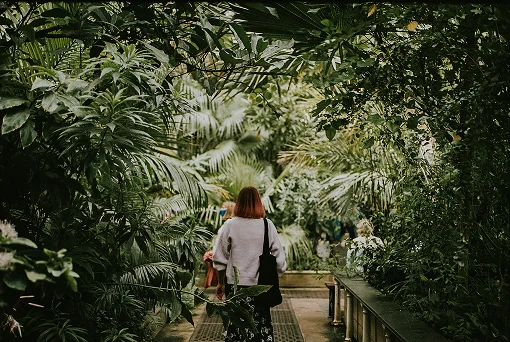 Achteraanzicht van een vrouw met een tas die door een dichtbegroeide botanische kas wandelt, omringd door tropische planten en palmbomen